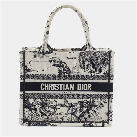 book tote dior small